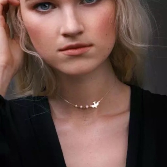 🆕 Choker Dove Necklace - Picture 3 of 7